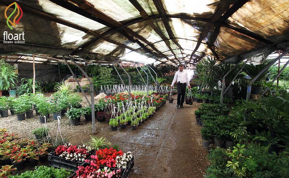 بازار گل امام رضا