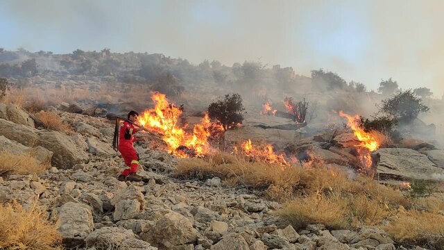 اخبار 9 حریق